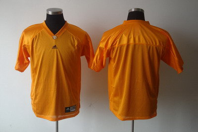 NCAA Tennessee vols blank orange jersey