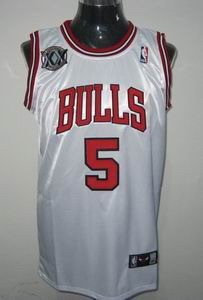 Chicago Bulls 5 Carlos Boozer WHITE 20th anniversary