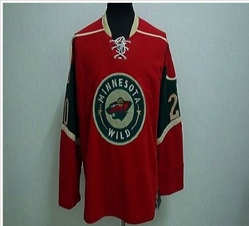 Minnesota Wild Blank Stitched Red NHL Jersey
