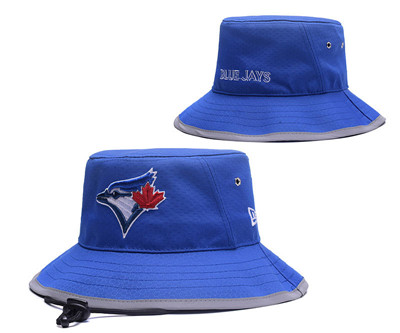 MLB Toronto Blue Jays Fresh Logo Blue Wide Brim Hat YD