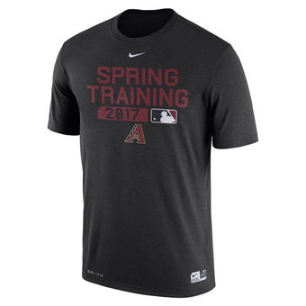 Men's Arizona Diamondbacks Nike Black Authentic Collection Legend Team Issue Performance T-Shirt 