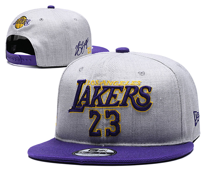 NBA Los Angeles Lakers Team Logo Purple Mitchell & Ness Adjustable Hat  