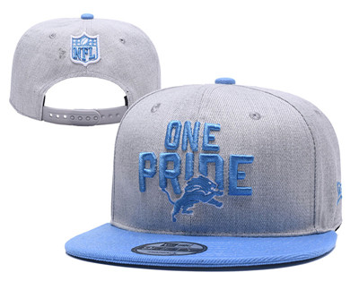 NFL Detroit Lions One Pride Gray Adjustable Hat
