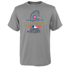Youth Chicago Cubs Majestic Heathered Gray 2016 World Series Champions Locker Room T-Shirt